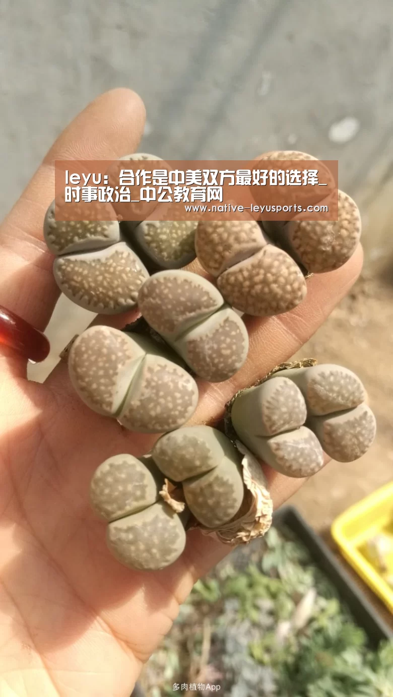 乐鱼体育
